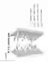 Fig. 14 - CH3 domain variant pair inducing formation of heterodimer of heavy chain constant region of antibody at high efficiency, method for preparing same, and use thereof