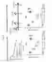 Fig. 124 - Bispecific antibodies that bind to CD38 and CD3