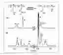 Fig. 01 - Poly(vinyl alcohol)-poly(vinyl ester) block copolymers