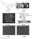 Fig. 35 - Polyesters, Methods of Making Polyesters and Uses Therefor