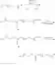 Fig. 99 - Polycarbonate block copolymers