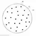 Fig. 01 - Multi-component particles comprising inorganic nanoparticles distributed in an organic matrix and processes for making and using same