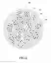 Fig. 07 - Multi-component particles comprising inorganic nanoparticles distributed in an organic matrix and processes for making and using same