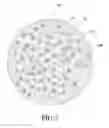 Fig. 08 - Multi-component particles comprising inorganic nanoparticles distributed in an organic matrix and processes for making and using same