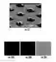 Fig. 28 - Isolated and fixed micro and nano structures and methods thereof