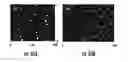Fig. 32 - Isolated and fixed micro and nano structures and methods thereof