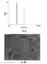 Fig. 45 - Isolated and fixed micro and nano structures and methods thereof