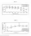Fig. 02 - Method for belching water from swollen superabsorbent polymers and method for recycling sanitary absorbent articles using the same