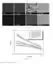 Fig. 06 - Spray freeze-dried nanoparticles and method of use thereof