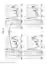Fig. 05 - Composition for preparing polyimide, polymer, article including polymer, and display device including article