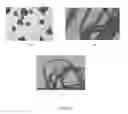 Fig. 02 - Easily processable ultrahigh molecular weight polyethylene and a process for preparation thereof