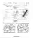 Fig. 02 - Blends of oligopeptide terminal polyisobutylene or polystyrene