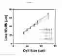 Fig. 08 - High-resolution patterning of graphene by screen and gravure printing for highly flexible printed electronics