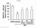 Fig. 06 - Composition for Promoting Differentiation and Proliferation of Neural Stem Cell and Neural Precursor Cell