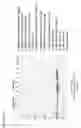 Fig. 45 - Highly efficient influenza matrix (M1) proteins
