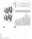 Fig. 71 - Highly efficient influenza matrix (M1) proteins