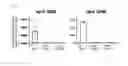 Fig. 02 - Method for manufacturing useful substance in which high-density cultured strain of filamentous fungi is used