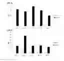 Fig. 04 - Cell penetrating peptide, conjugate comprising same, and composition comprising conjugate