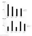 Fig. 08 - Cell penetrating peptide, conjugate comprising same, and composition comprising conjugate