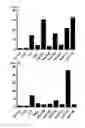 Fig. 22 - Cell penetrating peptide, conjugate comprising same, and composition comprising conjugate