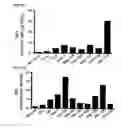 Fig. 28 - Cell penetrating peptide, conjugate comprising same, and composition comprising conjugate