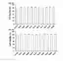 Fig. 30 - Cell penetrating peptide, conjugate comprising same, and composition comprising conjugate