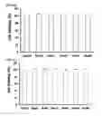 Fig. 33 - Cell penetrating peptide, conjugate comprising same, and composition comprising conjugate