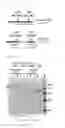 Fig. 09 - Recombinant Factor C and method for producing the same, and method for measuring endotoxin