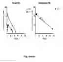 Fig. 07 - COAGULATION FACTOR VII POLYPEPTIDES
