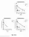 Fig. 08 - COAGULATION FACTOR VII POLYPEPTIDES