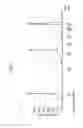 Fig. 02 - HIGH THROUGHPUT TRANSCRIPTOME ANALYSIS