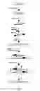 Fig. 02 - DNA ASSIMILATION