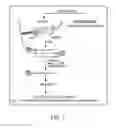 Fig. 02 - Aptamers, multimeric aptamers and uses thereof