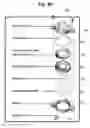 Fig. 06 - Spore detector