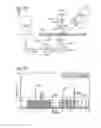 Fig. 49 - MULTIPLEXED DIGITAL ASSAY