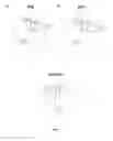 Fig. 03 - Method for the diagnosis of rosacea