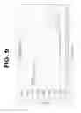 Fig. 07 - MEGASPHAERA CEREVISIAE SYSTEM PROCESS CONTROL (SPC) PRIMERS, PROBES, AND METHODS