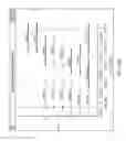 Fig. 45 - Methods and compositions for multiplex PCR