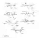 Fig. 35 - Scaffold-based polymerase enzyme substrates