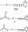 Fig. 63 - Scaffold-based polymerase enzyme substrates