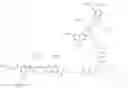 Fig. 87 - Scaffold-based polymerase enzyme substrates