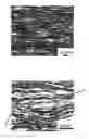 Fig. 01 - Magnesium alloy sheet material