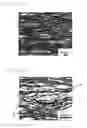 Fig. 02 - Magnesium alloy sheet material