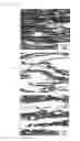 Fig. 08 - Magnesium alloy sheet material