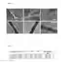Fig. 07 - Formation of core-shell fibers and particles by free surface electrospinning
