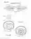 Fig. 03 - Horizontal rotary hook of sewing machine