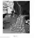 Fig. 04 - Modular Decorative Landscape Product and Associated Methods