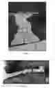 Fig. 05 - Modular Decorative Landscape Product and Associated Methods