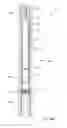 Fig. 08 - WIRELINE PUMP