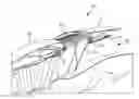 Fig. 01 - System and apparatus for a thrust reverser